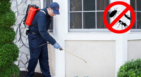 Kuşadası Bit İlaçlama böcek ilaçlama ve haşere kontrolü — ilaclama-tr.com